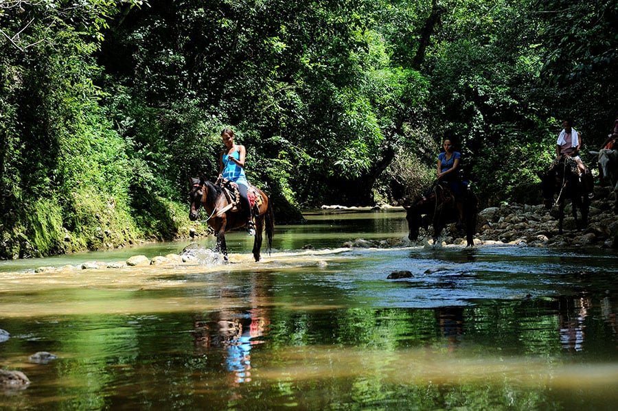 Horseback Riding at Limon Waterfall in Samana Dominican Republic