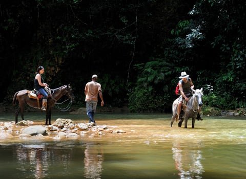 Waterfall Limon Tour in Samana.